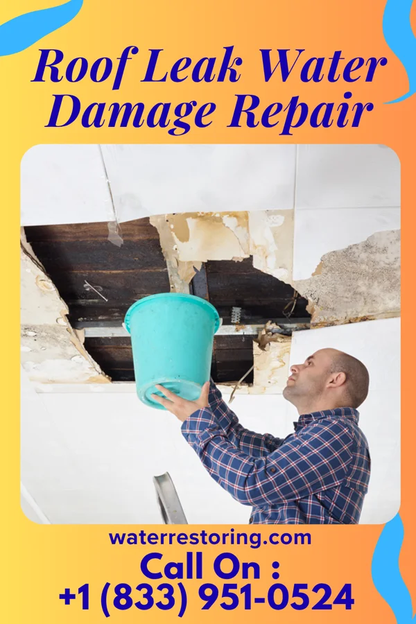 Roof Leak Water Damage Repair in Santaquin, UT